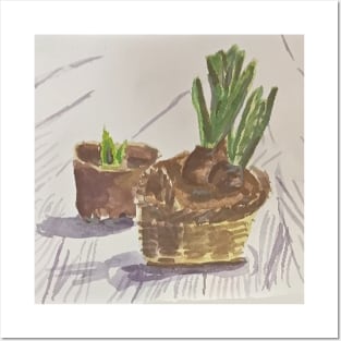 Onions Growing in Pots Posters and Art
